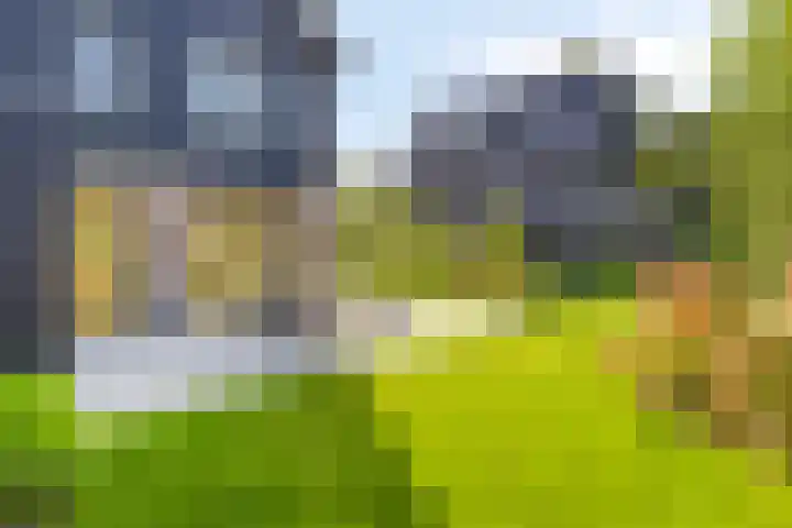 Struiklaan 7 Nooitgedacht thumbnail 35