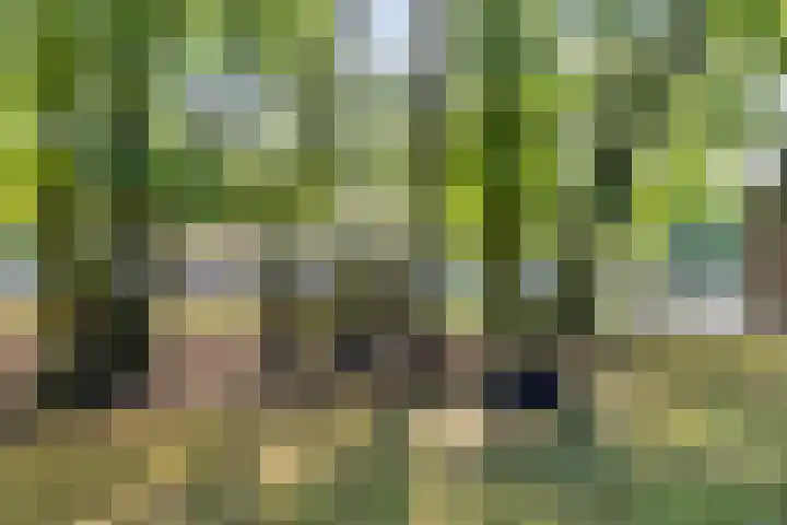 Struiklaan 7 Nooitgedacht thumbnail 36
