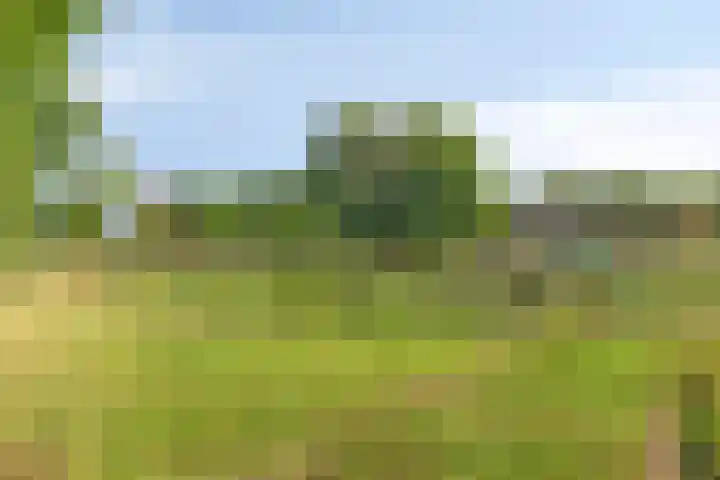 Struiklaan 7 Nooitgedacht thumbnail 37