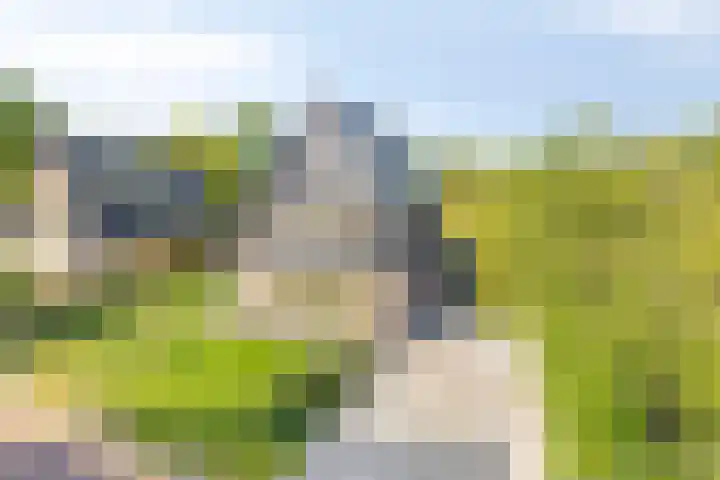 Struiklaan 7 Nooitgedacht thumbnail 38
