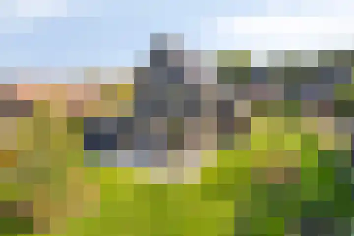 Struiklaan 7 Nooitgedacht thumbnail 39