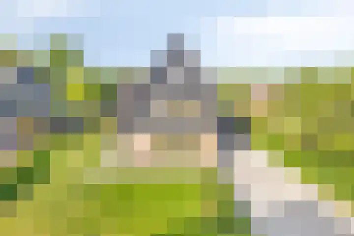 Struiklaan 7 Nooitgedacht thumbnail 41
