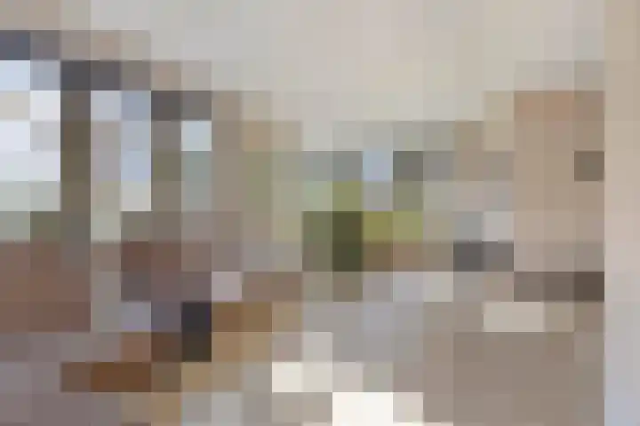 Struiklaan 7 Nooitgedacht thumbnail 7
