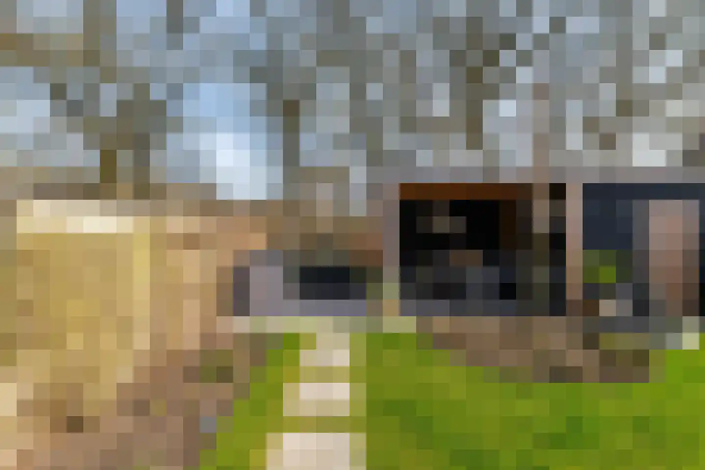 Struiklaan 8 Nooitgedacht thumbnail 10