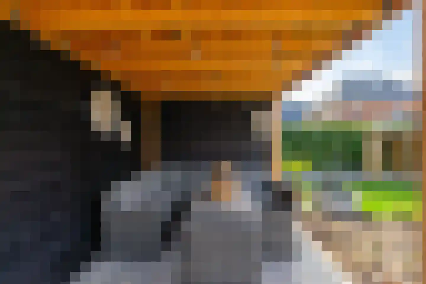 Struiklaan 8 Nooitgedacht thumbnail 12