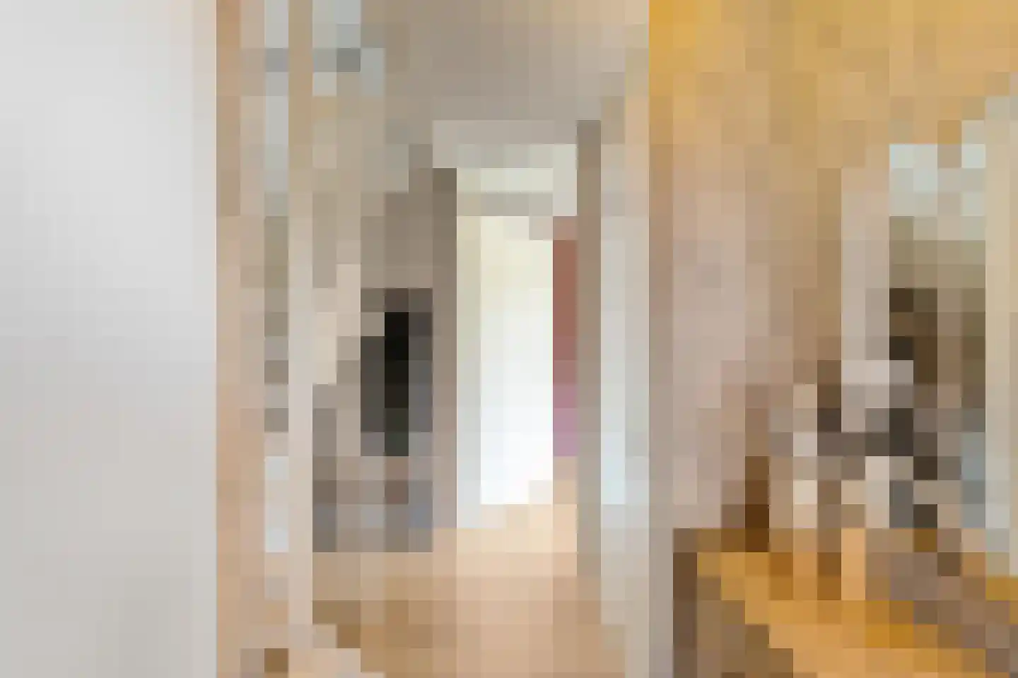 Struiklaan 8 Nooitgedacht thumbnail 17