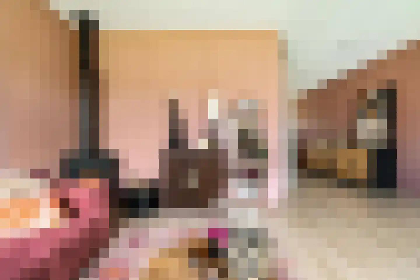 Struiklaan 8 Nooitgedacht thumbnail 19