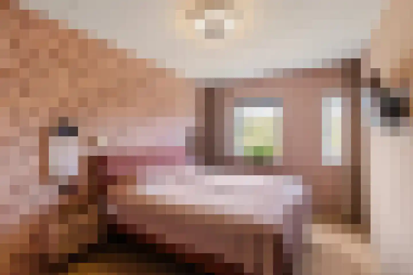 Struiklaan 8 Nooitgedacht thumbnail 33