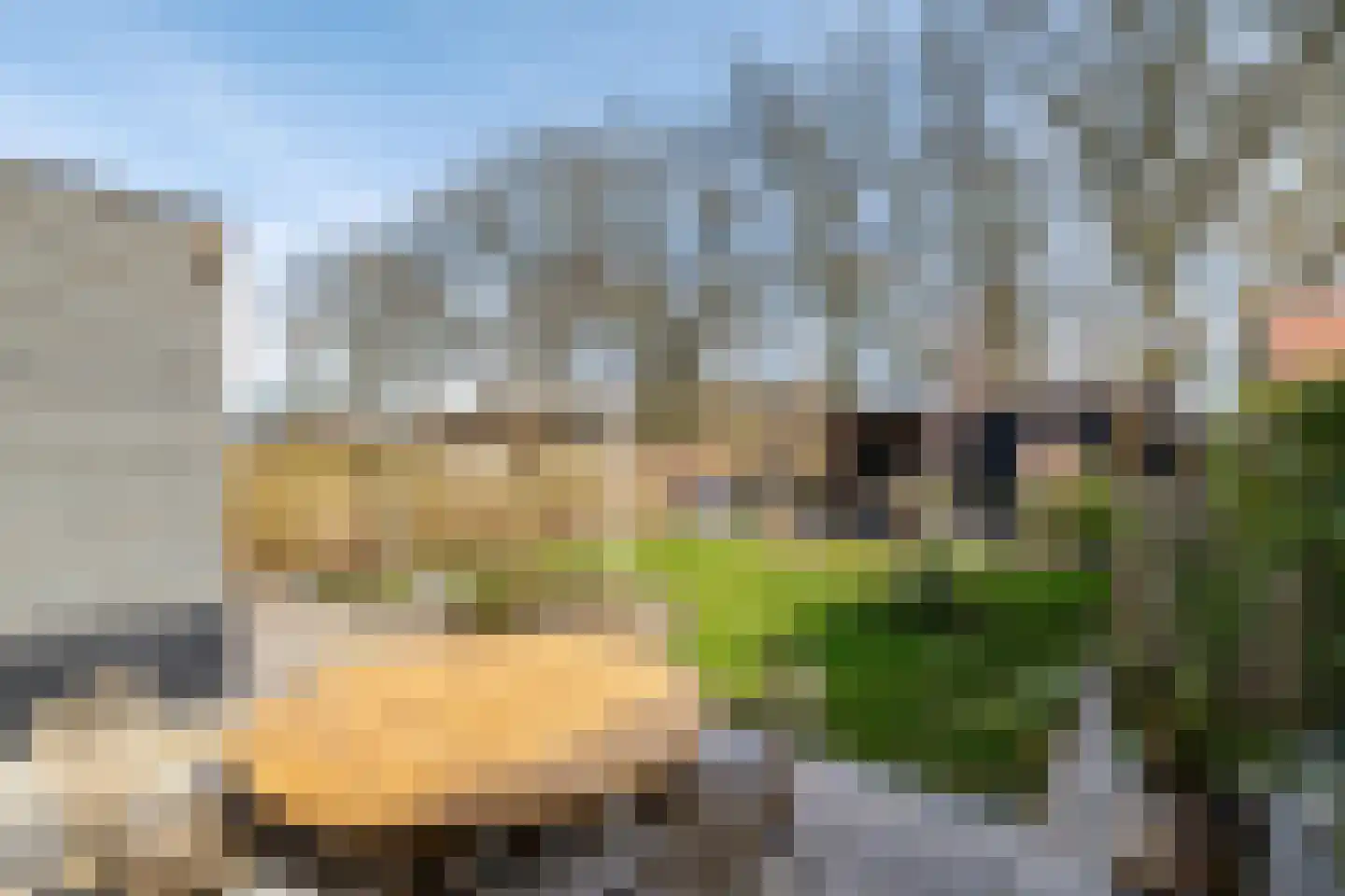 Struiklaan 8 Nooitgedacht thumbnail 4