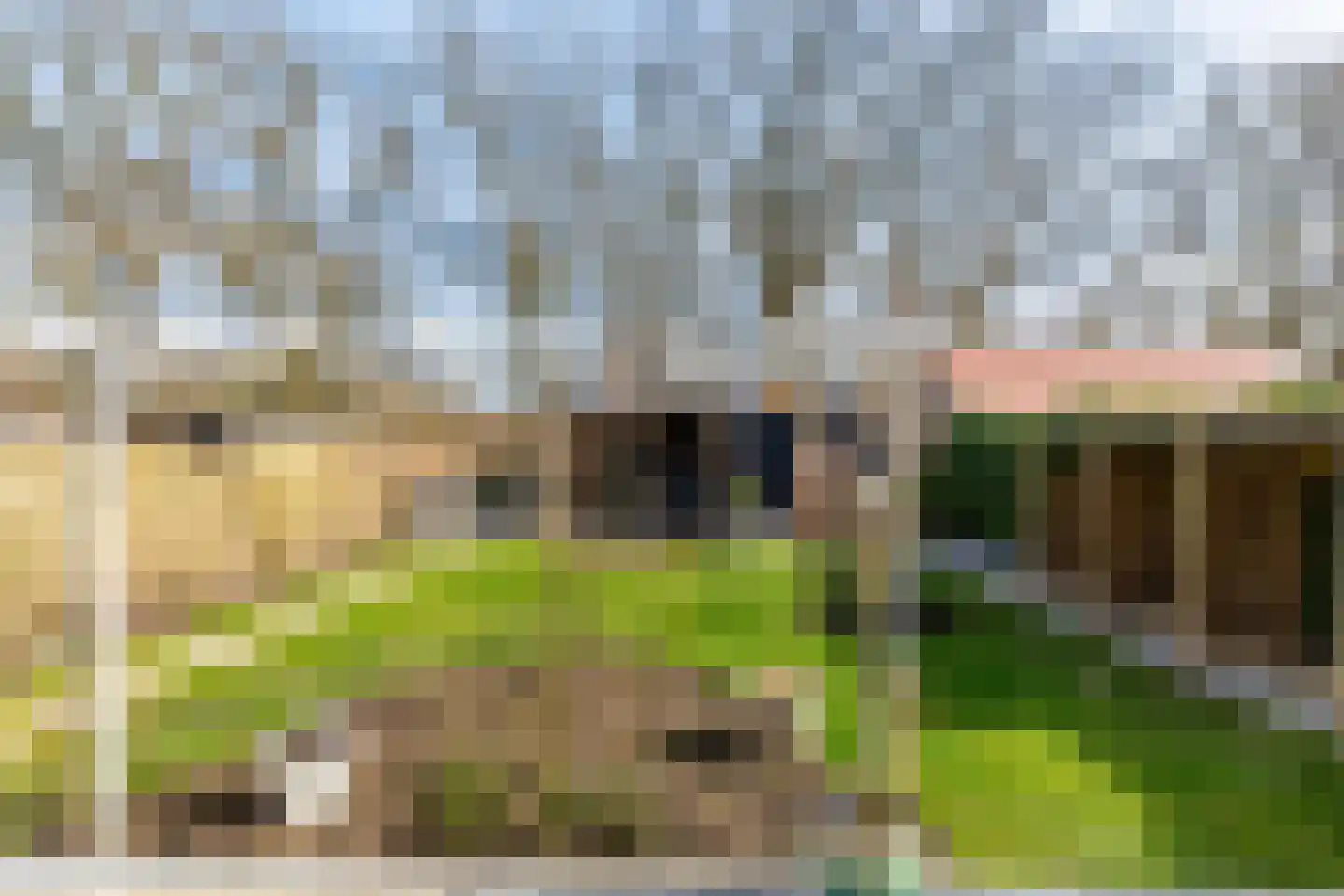 Struiklaan 8 Nooitgedacht thumbnail 9