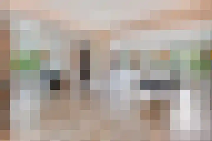 Struikstuk 48 Epe thumbnail 10