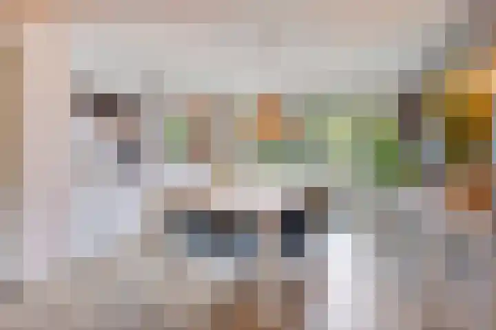 Struikstuk 48 Epe thumbnail 11