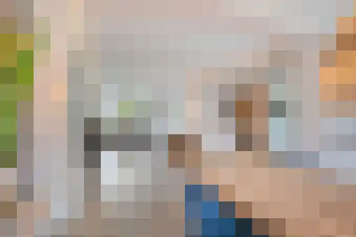 Struikstuk 48 Epe thumbnail 12