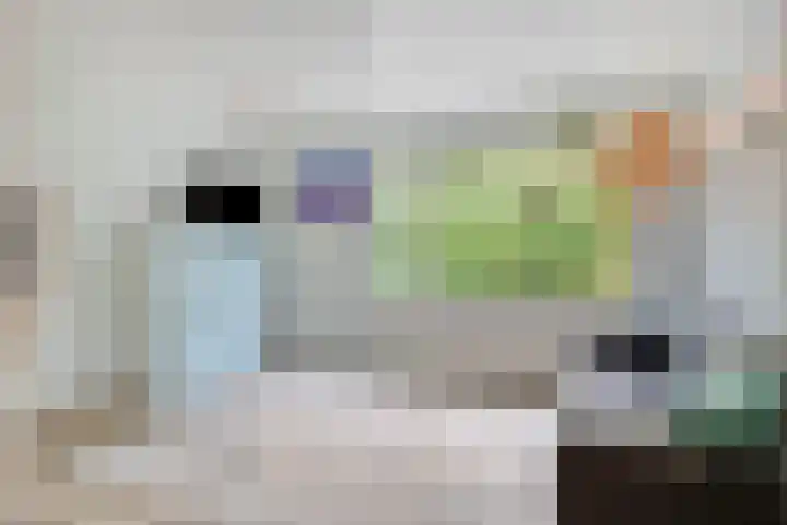 Struikstuk 48 Epe thumbnail 13