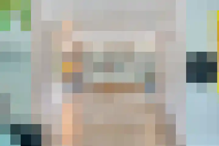 Struikstuk 48 Epe thumbnail 14