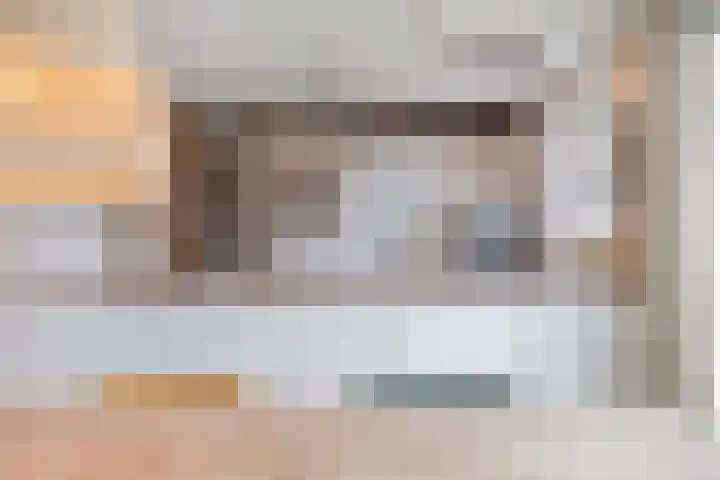 Struikstuk 48 Epe thumbnail 15
