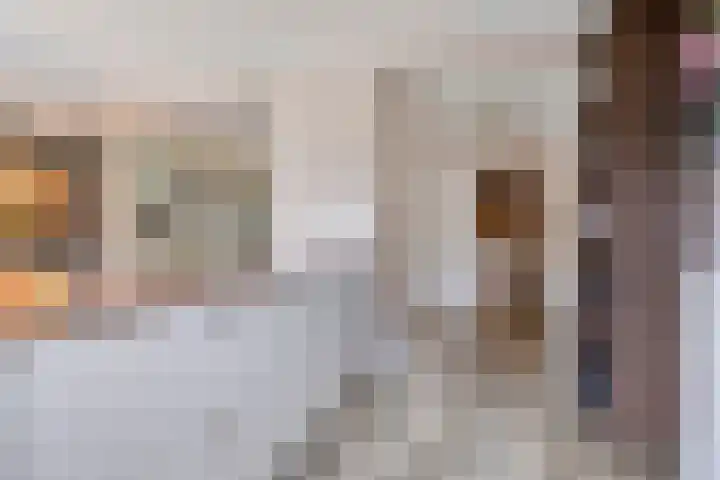 Struikstuk 48 Epe thumbnail 18
