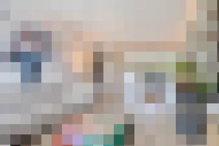 Struikstuk 48 Epe foto 2