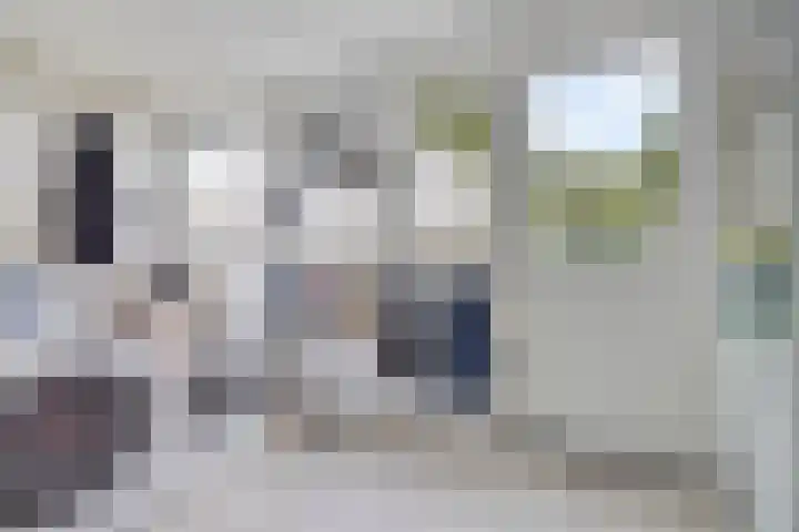 Struikstuk 48 Epe thumbnail 20