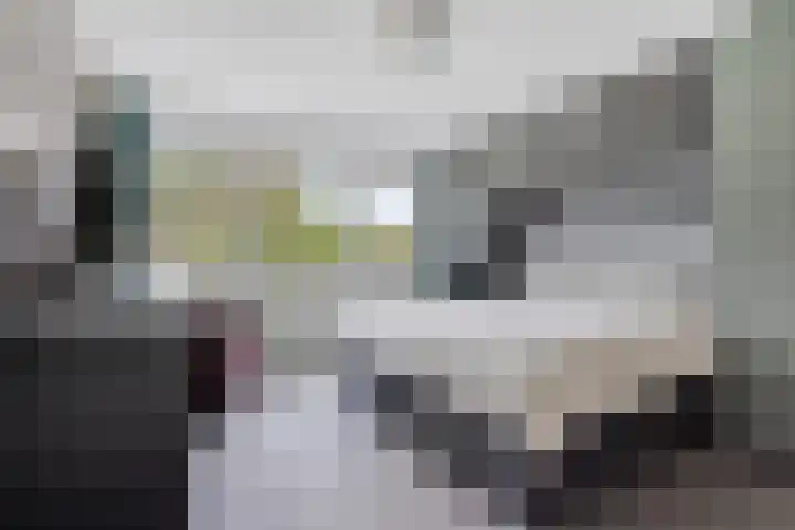 Struikstuk 48 Epe thumbnail 22