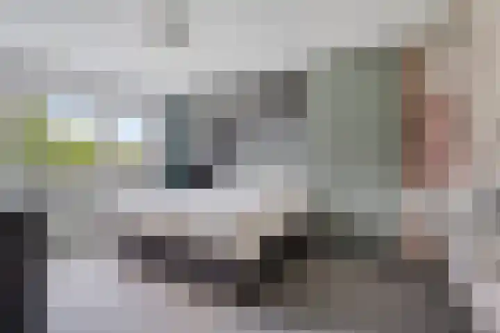 Struikstuk 48 Epe thumbnail 23