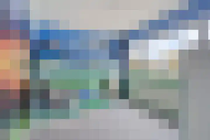 Struikstuk 48 Epe thumbnail 25