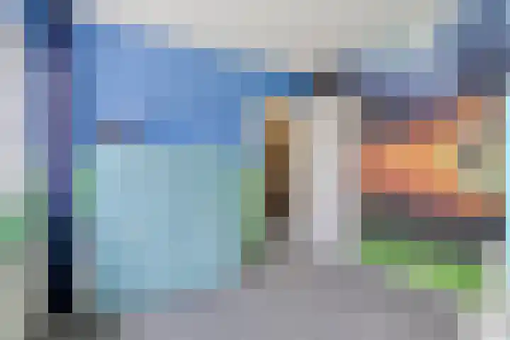 Struikstuk 48 Epe thumbnail 26
