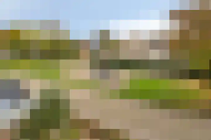 Struikstuk 48 Epe thumbnail 27