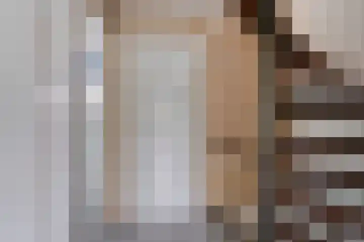 Struikstuk 48 Epe thumbnail 30