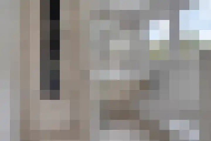 Struikstuk 48 Epe thumbnail 31