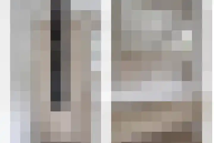 Struikstuk 48 Epe thumbnail 32
