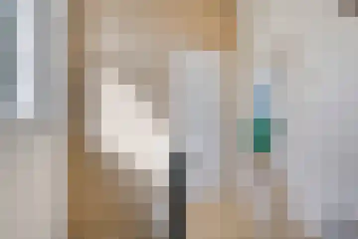 Struikstuk 48 Epe thumbnail 34