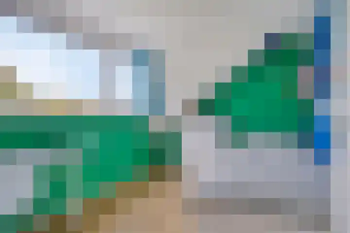 Struikstuk 48 Epe thumbnail 35