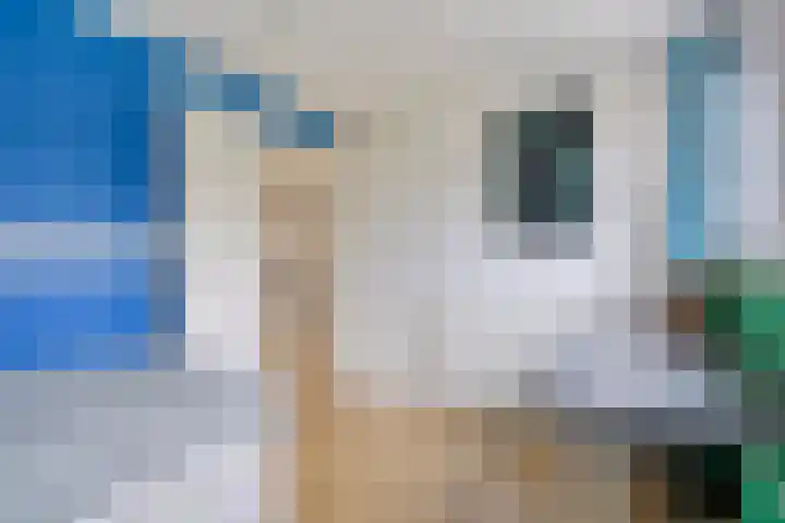 Struikstuk 48 Epe thumbnail 36