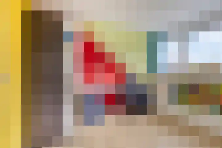 Struikstuk 48 Epe thumbnail 37