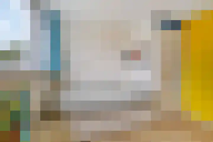 Struikstuk 48 Epe thumbnail 38