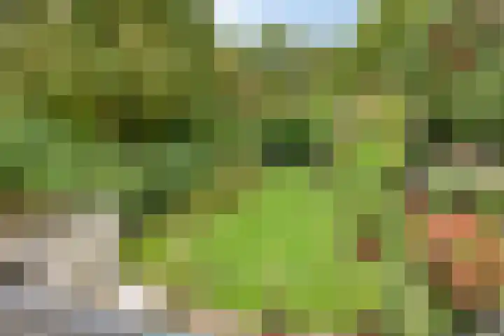Struikstuk 48 Epe thumbnail 39