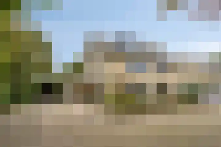 Struikstuk 48 Epe thumbnail 4