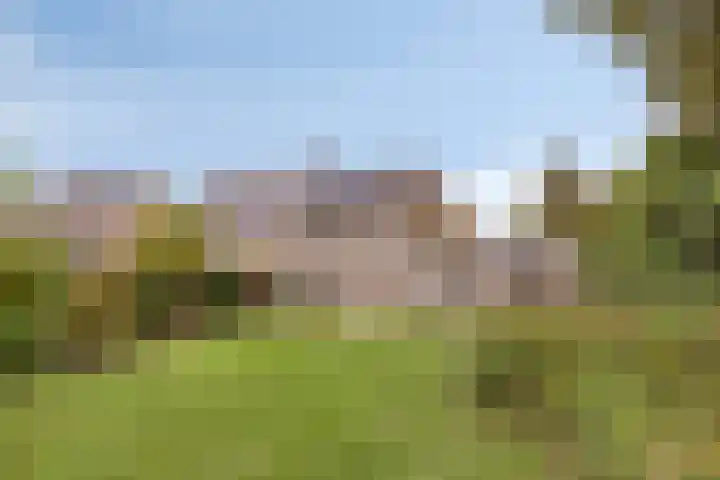 Struikstuk 48 Epe thumbnail 40