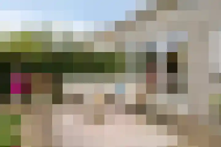 Struikstuk 48 Epe thumbnail 41