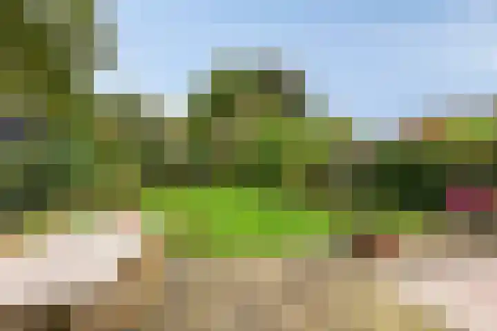 Struikstuk 48 Epe thumbnail 42