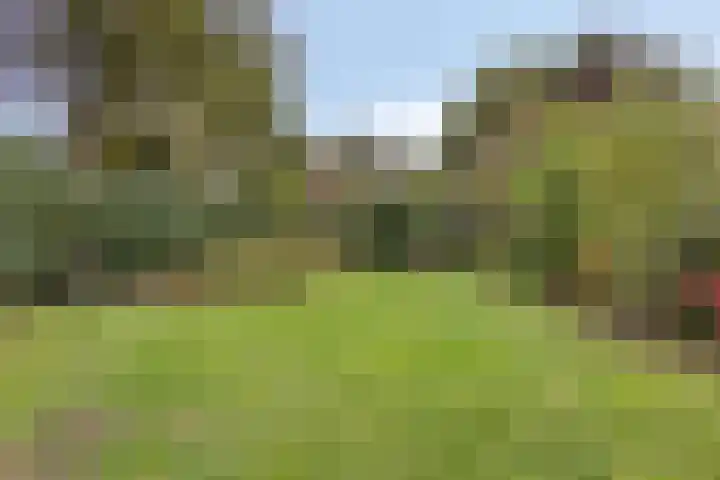 Struikstuk 48 Epe thumbnail 43