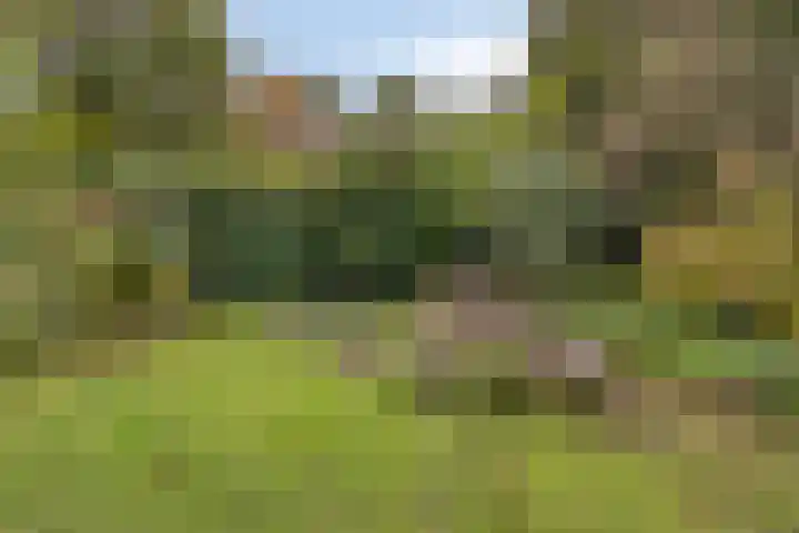 Struikstuk 48 Epe thumbnail 44