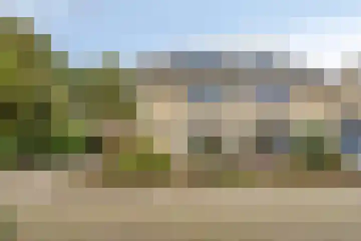 Struikstuk 48 Epe thumbnail 45
