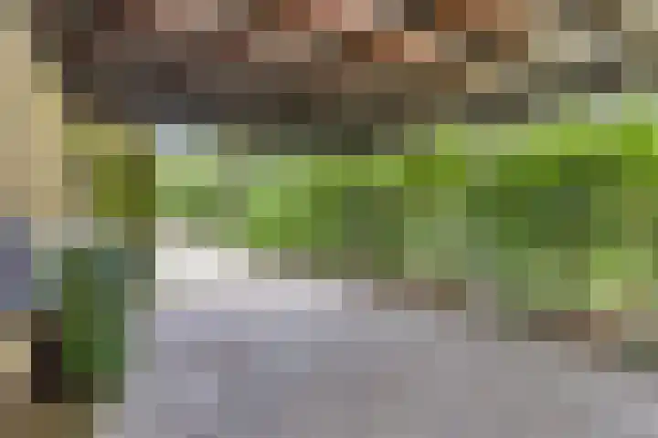 Struikstuk 48 Epe thumbnail 46