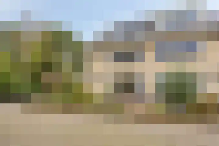 Struikstuk 48 Epe thumbnail 47