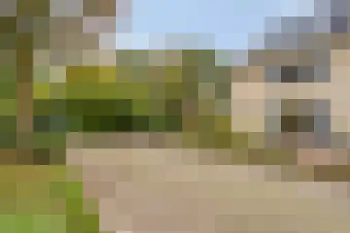 Struikstuk 48 Epe thumbnail 48