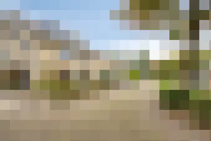 Struikstuk 48 Epe thumbnail 49
