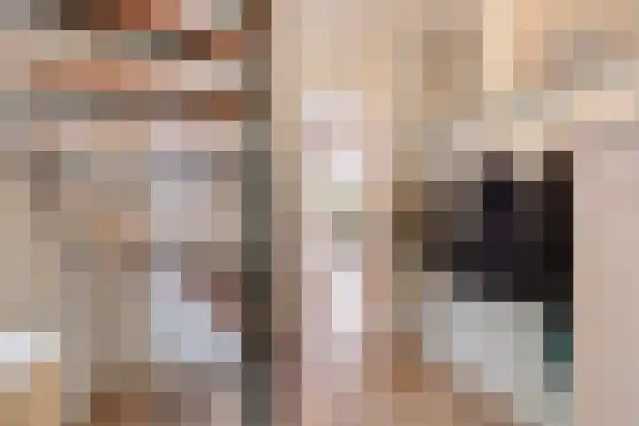 Struikstuk 48 Epe thumbnail 5