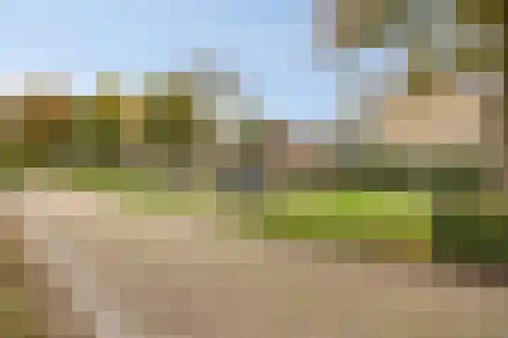 Struikstuk 48 Epe thumbnail 50